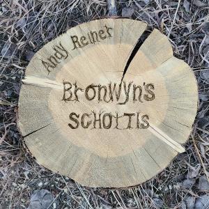 อัลบัม Bronwyn's Schottis (feat. Bronwyn Bird, Bassil Silver & Evan Marien) ศิลปิน Andy Reiner