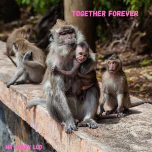 收聽Mr Lenny Loo的Together Forever歌詞歌曲