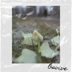 Osvive的專輯Väärinymmärretty poika (Explicit)
