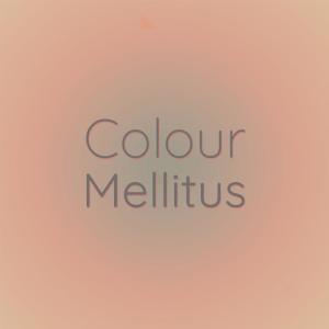 Various Artists的專輯Colour Mellitus