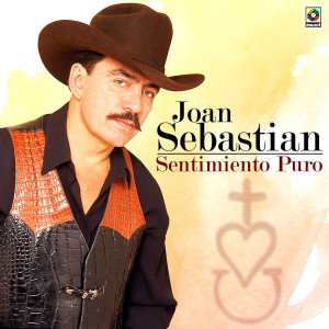 ดาวน์โหลดและฟังเพลง Soy Tuyo พร้อมเนื้อเพลงจาก Joan Sebastian