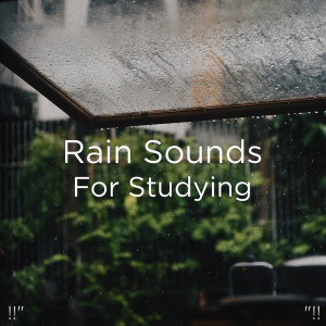 Dengarkan Rain Sound lagu dari Meditation Rain Sounds dengan lirik