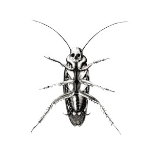 收聽Sad Theory的Sadismo Penal Recidivante歌詞歌曲