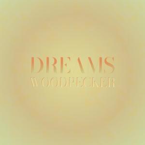 Album Dreams Woodpecker oleh Various