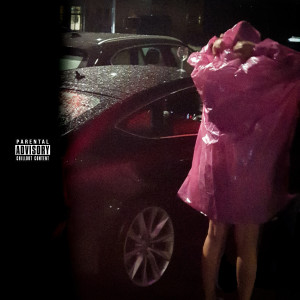 ดาวน์โหลดและฟังเพลง Kwiaty (Explicit) พร้อมเนื้อเพลงจาก Bleiz