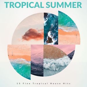 Tropical Summer dari Various Artists