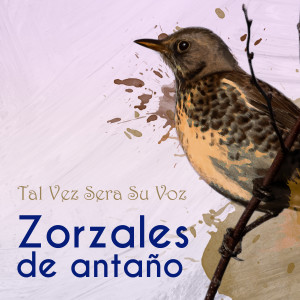 收聽Anibal Troilo的Garua歌詞歌曲