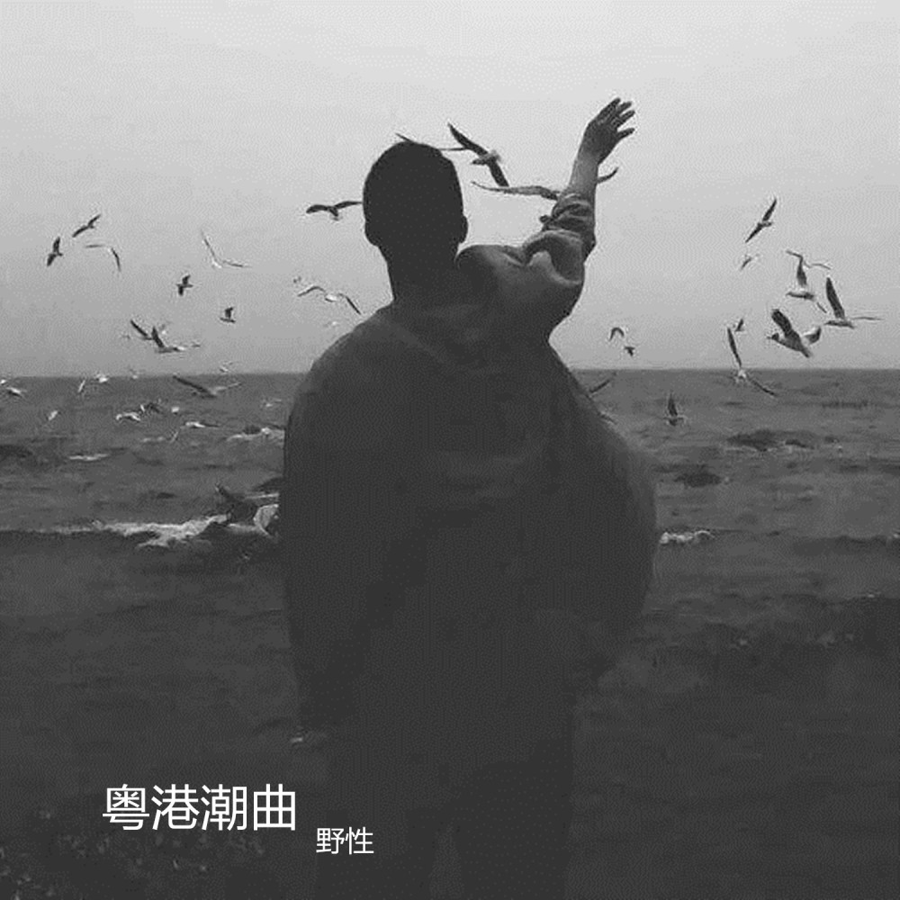 山楂树の恋 (DJ版)