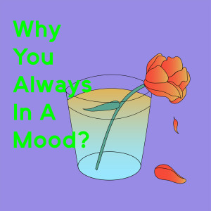 收聽nosy beats的Why You Always in a Mood?歌詞歌曲