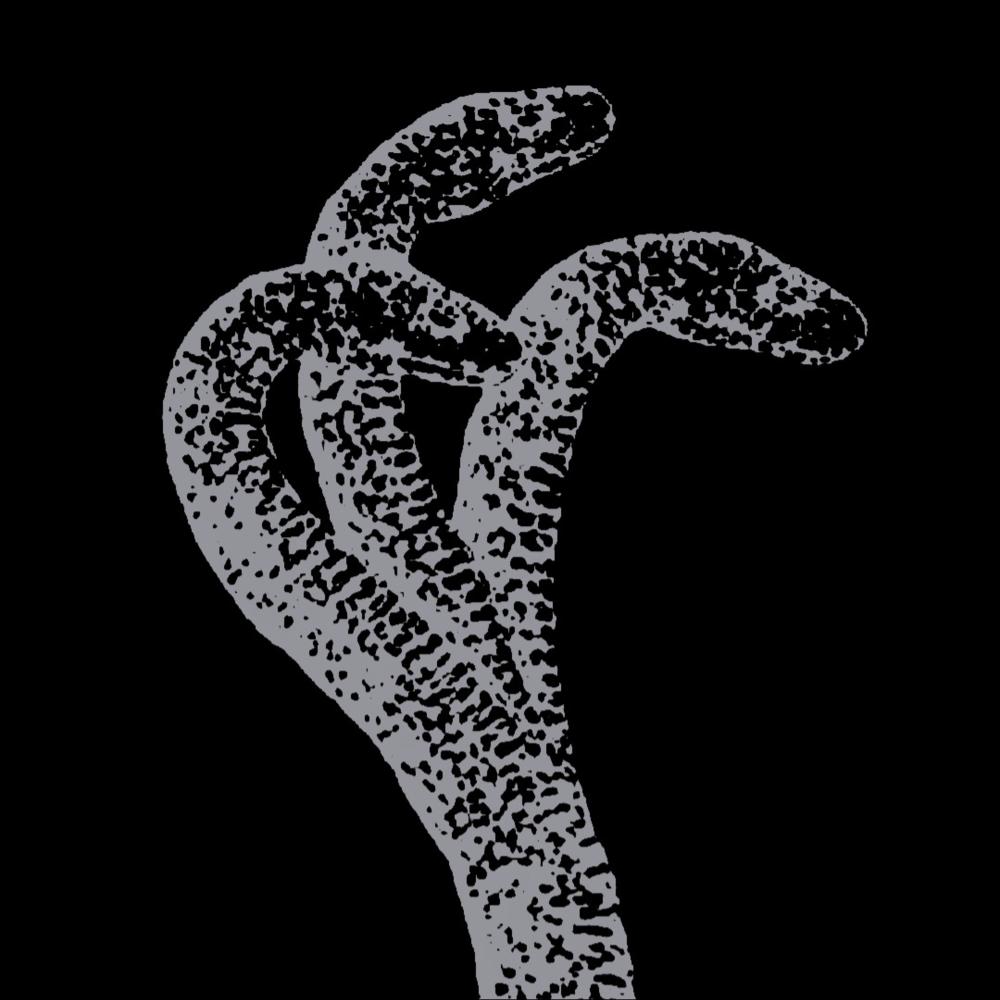 3 headed snake! (feat. Hxtspxt) (Explicit)