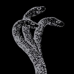 收聽Cryptwxlkr的3 headed snake! (feat. Hxtspxt) (Explicit)歌詞歌曲