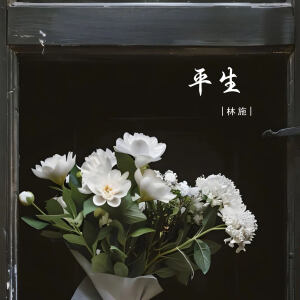 Listen to 平生 song with lyrics from 林施