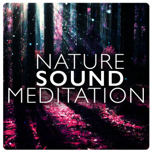 ดาวน์โหลดและฟังเพลง Soothing Wind พร้อมเนื้อเพลงจาก Nature Sound Series