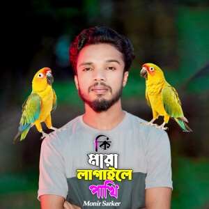 Album Ke Maya Lagaili Pakhi from 