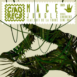 收听Mace的Jungle歌词歌曲