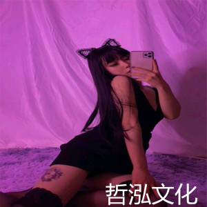 收聽小阿哲的大王叫我來巡山(dj）歌詞歌曲