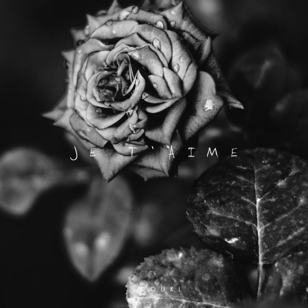Je t'aime