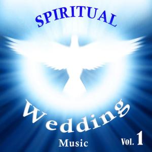 ดาวน์โหลดและฟังเพลง Wounderful Peace (Vocal) พร้อมเนื้อเพลงจาก David & The High Spirit