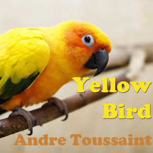 收聽Andre Toussaint的Yellow Bird歌詞歌曲