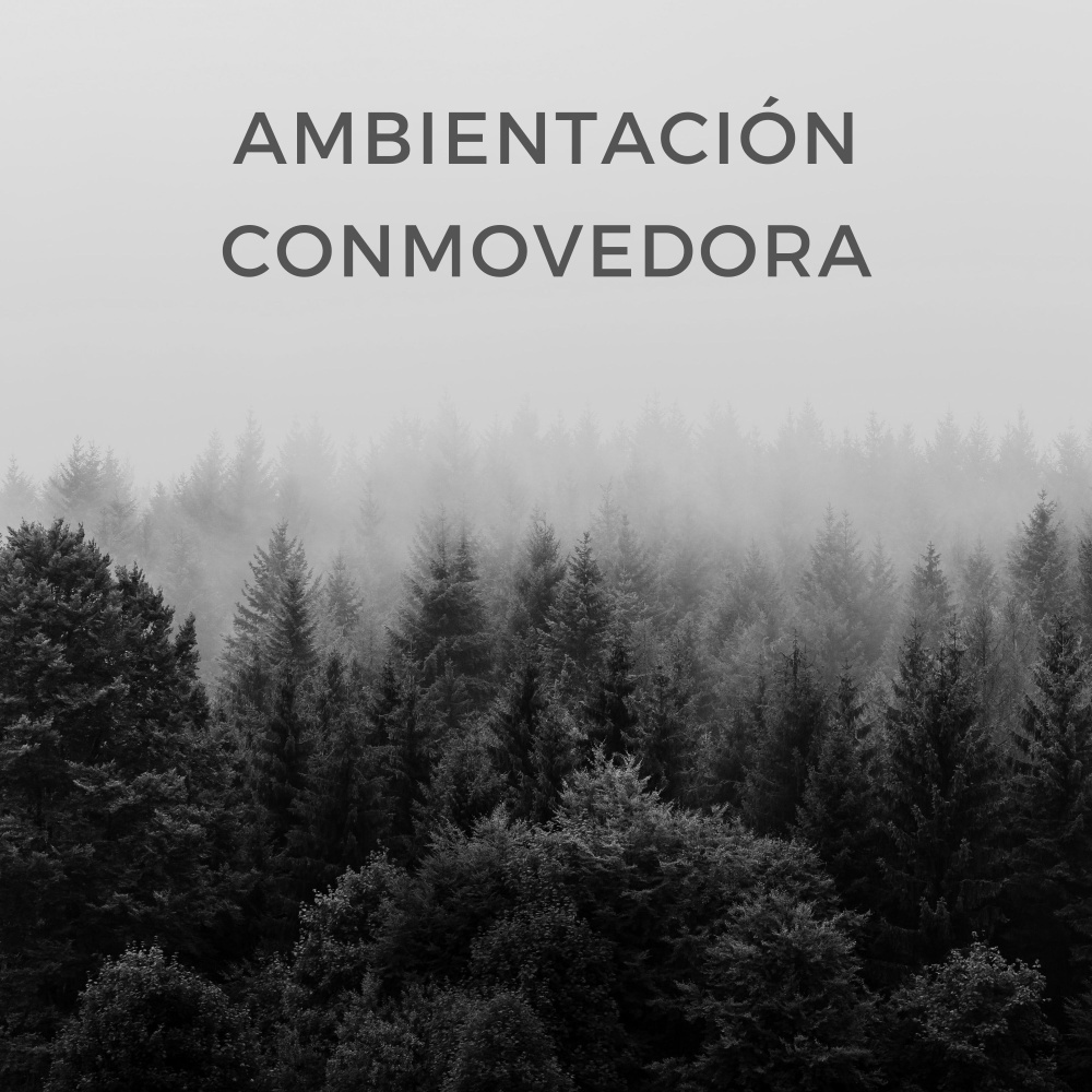 Cuatro Estaciones