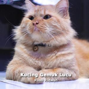 Listen to Kucing Gemuk Lucu song with lyrics from Rusli Ridwan
