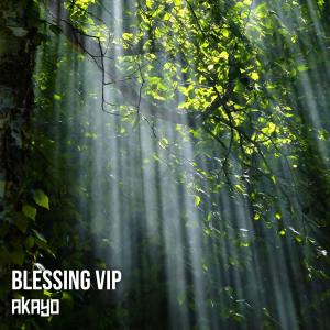Listen to Blessing VIP song with lyrics from Akayo