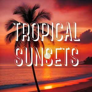 DJ Ceverino的專輯Tropical Sunsets (An Immersive Experience in Electronic House Vibes)