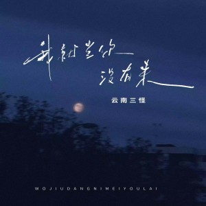 Listen to 我就当你没有来 (伴奏) song with lyrics from 云南三怪