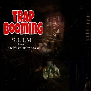 Listen to Trap Booming (Explicit) song with lyrics from S.L.I.M