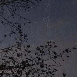 收聽KcChalk的Dopamine (Explicit)歌詞歌曲