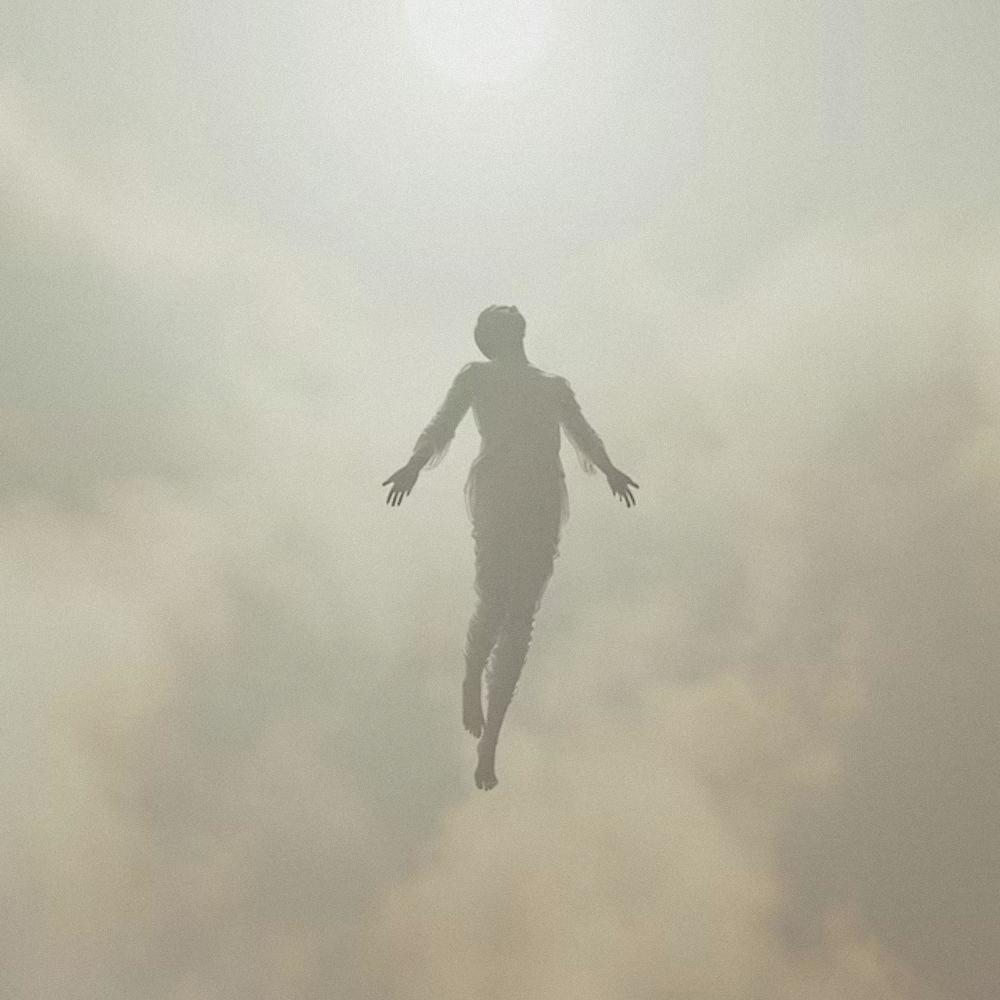FLYING UP TO HEAVEN