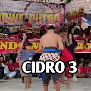 Album CiDRO 3 from 