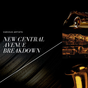 Cole Porter的专辑New Central Avenue Breakdown