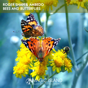 Album Bees and Butterflies from Roger Shah