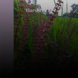 Album Harshly Lie from Various