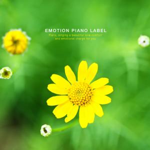 Album Piano with precious music and good happiness (preaching music) from 