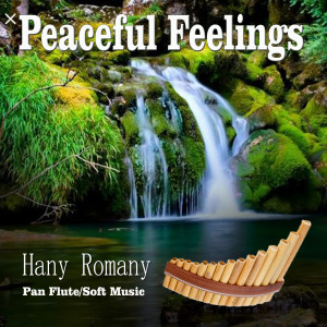 收听Hany Romany的Jesus Keep Me Near the Cross歌词歌曲