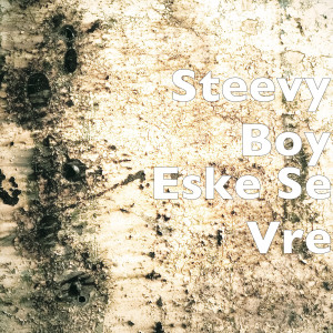 Album Eske Se Vre (Explicit) from STEEVY BOY