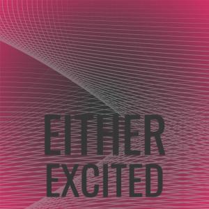 อัลบัม Either Excited ศิลปิน Various