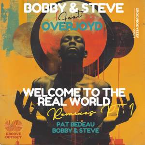 Listen to Welcome to the Real World (Pat Bedeau Bedfunk Dub Instrumental Remix) song with lyrics from Bobby & Steve