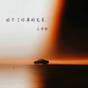 Album 给不了你要的完美 from 王泽科