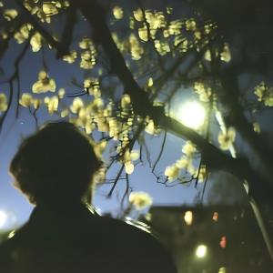 Dengarkan lagu живой ли я? nyanyian CARAPACEE dengan lirik