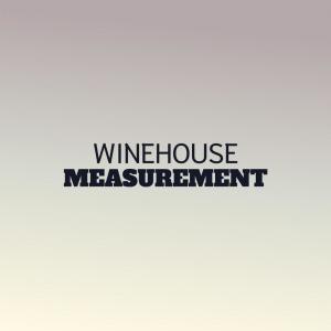 Various的專輯Winehouse Measurement