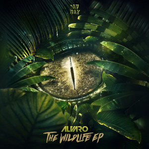 อัลบัม The Wildlife ศิลปิน Gambas & Alvaro