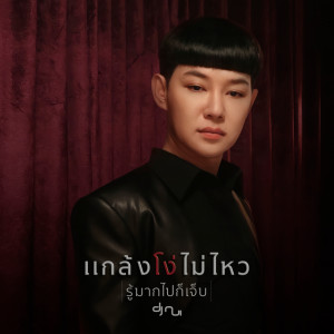 ดาวน์โหลดและฟังเพลง แกล้งโง่ไม่ไหว (รู้มากไปก็เจ็บ) พร้อมเนื้อเพลงจาก ดีเจนุ้ย