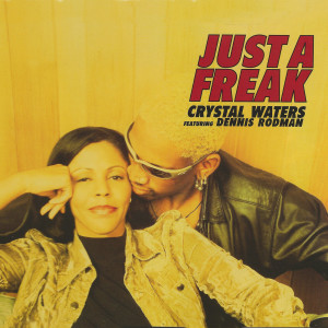 ดาวน์โหลดและฟังเพลง Just A Freak (Radio Edit) พร้อมเนื้อเพลงจาก Crystal Waters