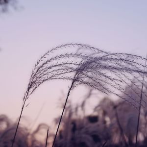 收听Study Music & Sounds的Come Up歌词歌曲