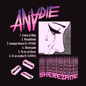 ดาวน์โหลดและฟังเพลง Aunque Llueva (Explicit) พร้อมเนื้อเพลงจาก ANADIE