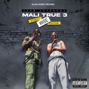 Dengarkan lagu No Gun (Explicit) nyanyian Team Veterans dengan lirik