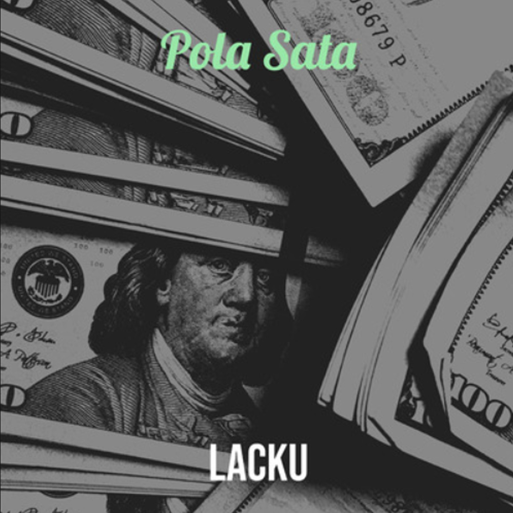 Pola sata